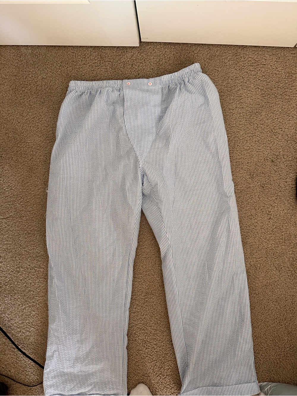 Free people Light Blue Seersucker Pants